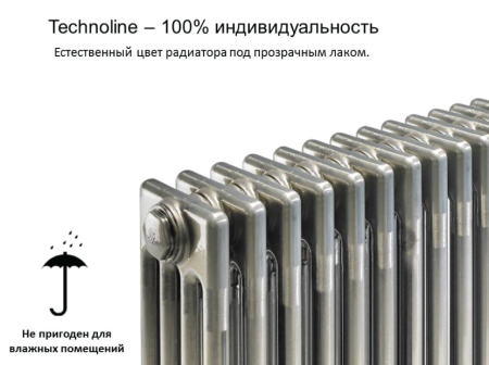 Радиатор трубчатый Zehnder Charleston 2180, 10 секций, 1/2 нижнее подключение, RAL0325 TL